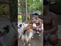 Tarzan travel