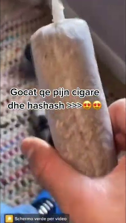 #420 #weed #viral #lustig #trend #respect #shorts #youtube #shorts #youtubechannel #youtubeshorts