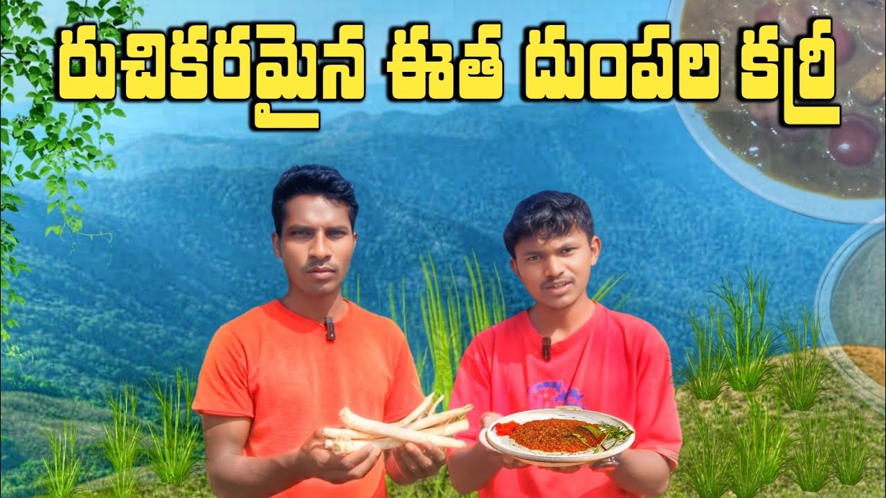 Delicious sweet potato curry | రుచికరమైన ఈత దుంపల కర్రీ | In Telugu By The Tribal Vlogs