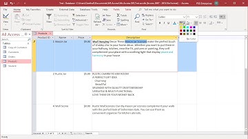 How to Change Text Format Property to Rich Text in MS Access - Office 365
