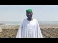 زراعة البامبي السوداني في النيل الأزرق إنتاج واعد وفرصة كبيرة