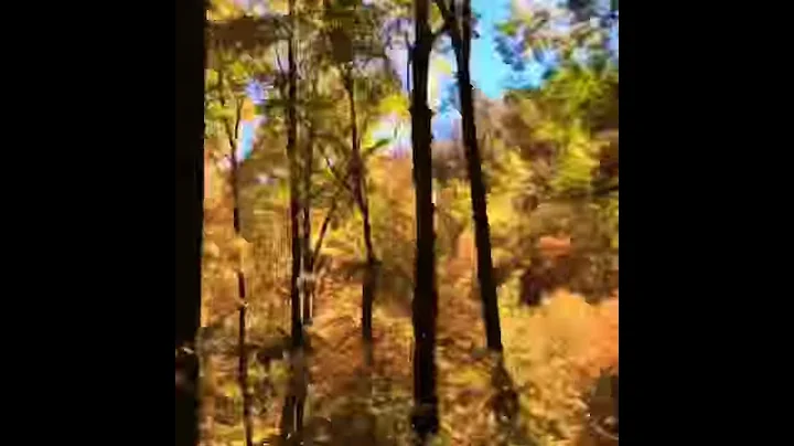 Time lapse drive Smoky Mountains