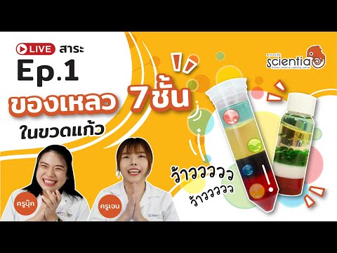 Live ep.1 l เคล็ดลับทำ ของเหลว 7 ชั้นในขวดแก้ว l Scientia