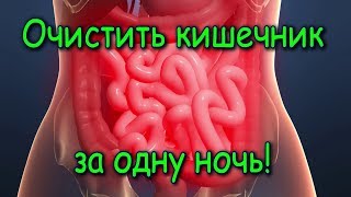 видео Какая еда помогает очищать кишечник?