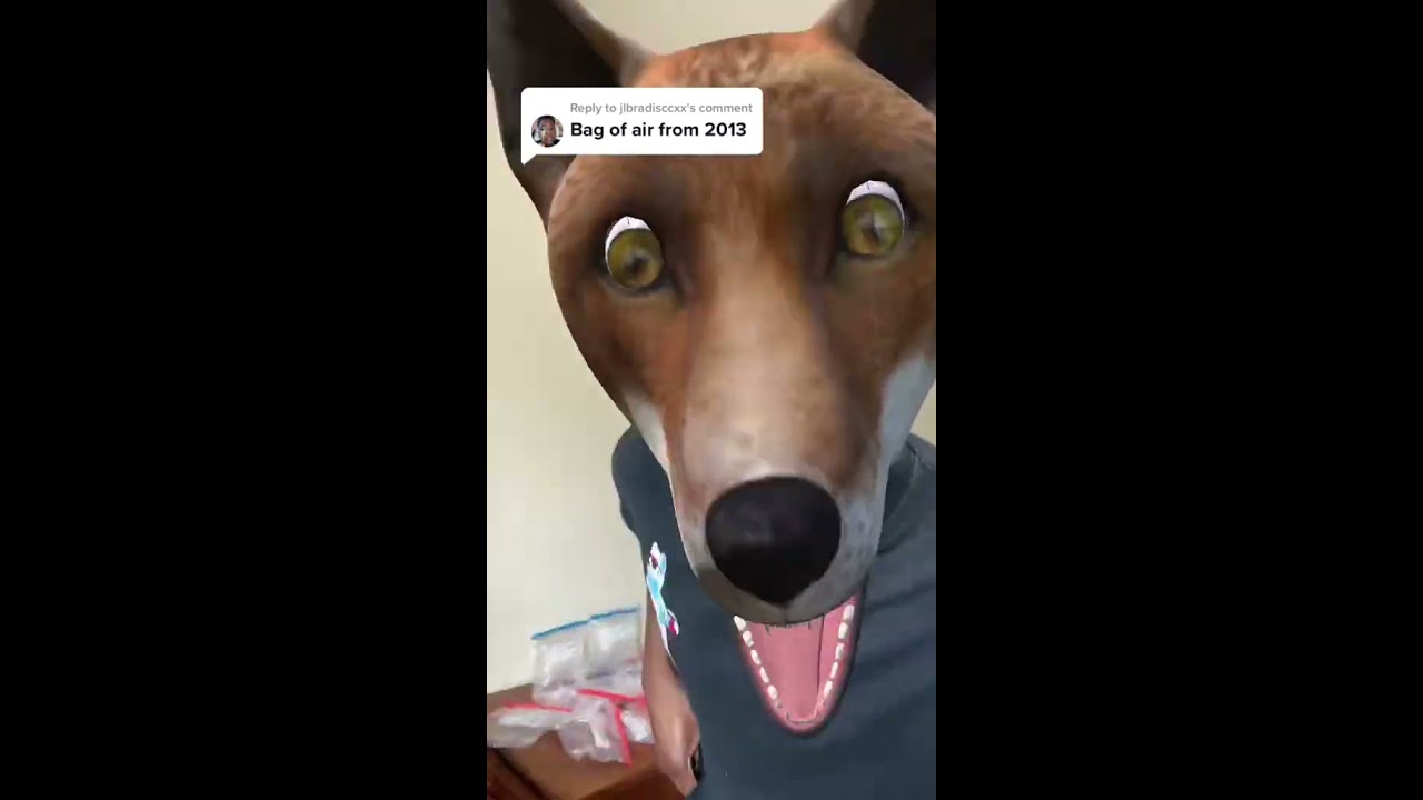 What Does The Fox Say