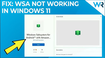 WSA not working in Windows 11? Try these fixes!