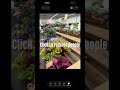 How to remove people from the background of a photo #BackgroundRemover #phototips #iphonephotos