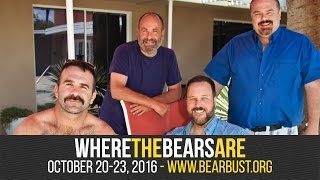 Where the Bears Are - Bear Bust XXVI