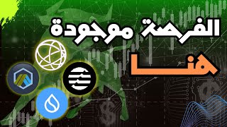 مصير العملات البديلة مع نزول البتكوين وسوق العملات الرقمية