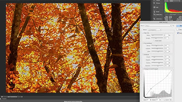 HDR in Photoshop CS6 using One Image