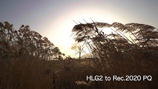 【HDR】Rec 2020 PQ 書き出しテスト2 (HLG2,S-Log to Rec 2020 PQ)