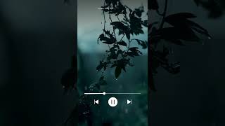 Rainy Night Vibes – 30s Lofi Rain Song for Deep Relaxation