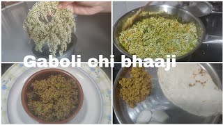 Gaboli Chi Bhaajiulshi Cha Mohar Jai Cha Mohar रन भज....