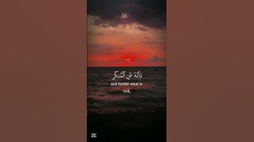 يا بني اقم الصلاة|اسلام صبحي| سوره لقمان|قران #كريم #راحة_نفسية