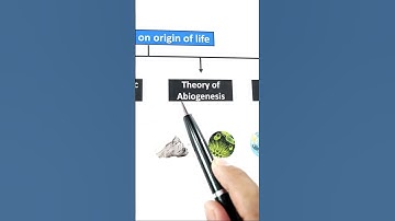 1 मिनिट मे Concept याद 🤩| origin and evolution of man class 12