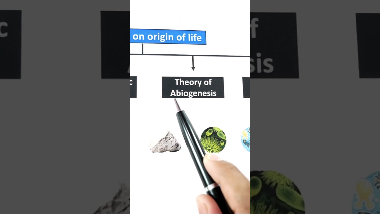 1 मिनिट मे Concept याद 🤩| origin and evolution of man class 12