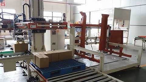 Servo Motor Palletizer