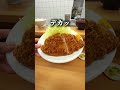 大行列とんかつ