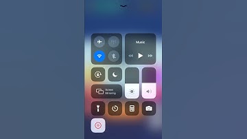 How To get The Hidden Ninja In Snowball.io