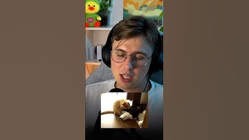 Как понять программистов? | Коля Касперский из Вебиума