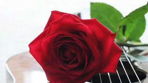 E:\lagu\vdeo\YouTube - Merepih Alam - Audy.flv