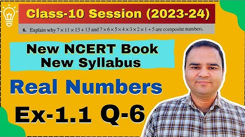 Class 10 Ex-1.1 Q-6, Math