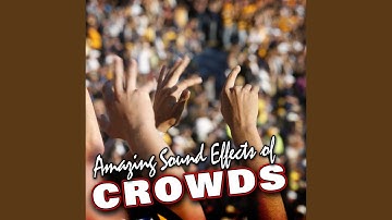 Large Outdoor Stadium Crowd Applause and Cheering