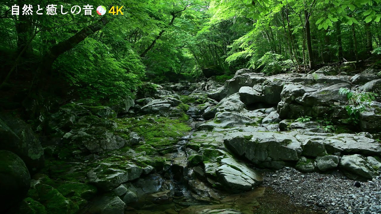 【自然の音】緑の季節と岩盤を流れる小川のせせらぎ、癒し、睡眠、リラックス、作業用BGM【3時間】 - YouTube