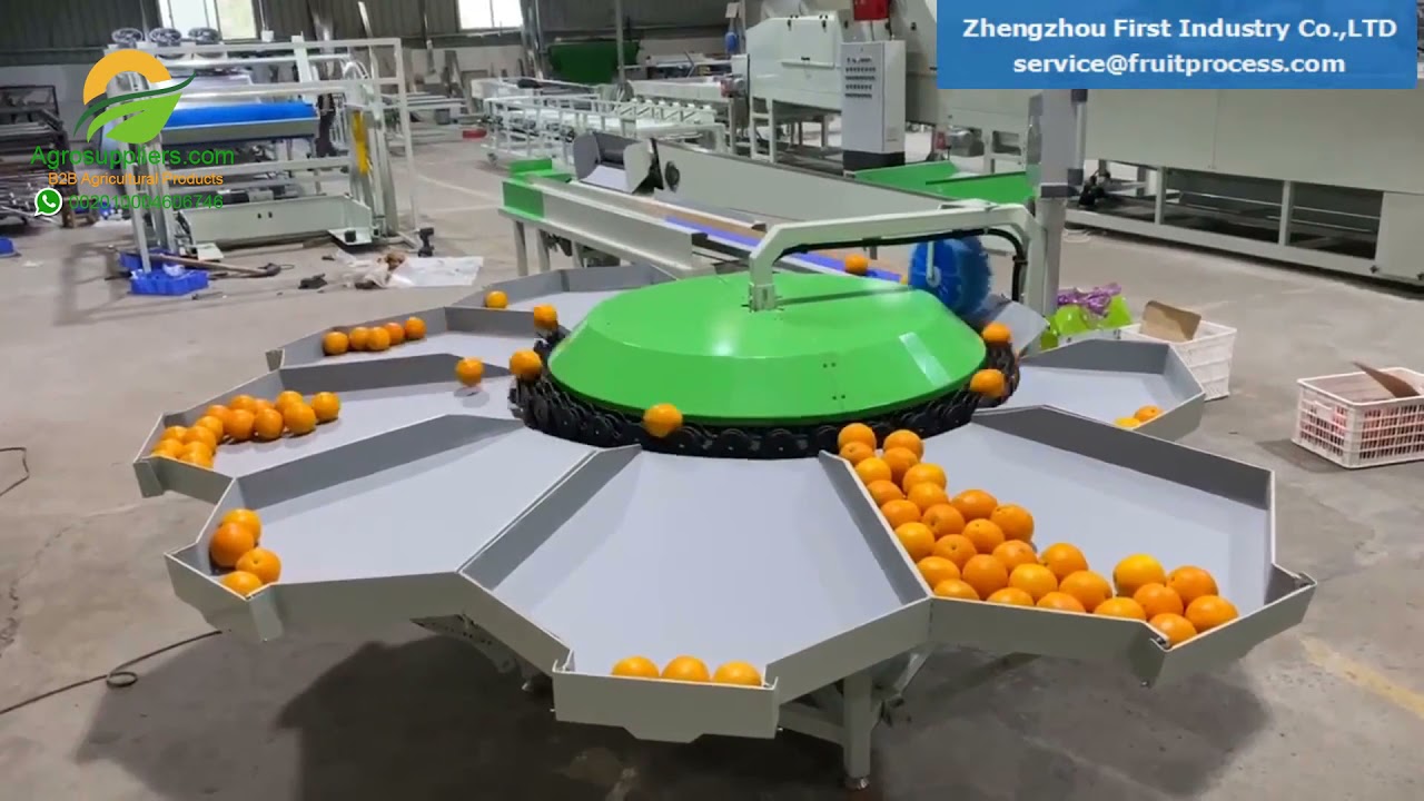 Mandarin Cleaning and Sorting Machines - YouTube