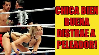 Top 15 Chicas Del Ring Distrayendo a Los Peleadores