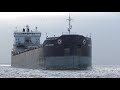 The Algoma Transport Arrives Duluth MN On The Extremely Windy Morning Of 3/30/21(4K)