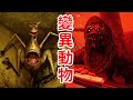 這裏的動物 都瘋了 Zoochosis 癲狂動物園正式版 劇情解說 這裏的動物 都瘋了 Zoochosis 癲狂動物園正式版 劇情解說