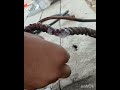 Voltas AC repair in Balwa Bajar #home  #technician #minivlog #trending #shortvideo