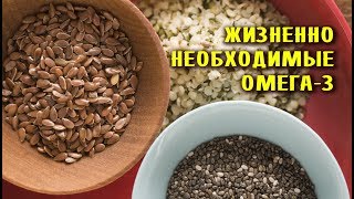 Почему ОМЕГА-3 чрезвычайно НЕОБХОДИМЫ для здоровья? Почему ОМЕГА-3 чрезвычайно НЕОБХОДИМЫ для здоровья?