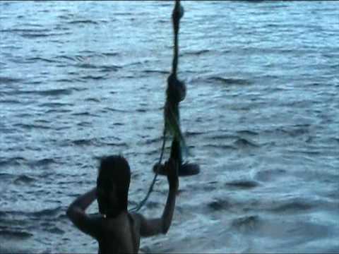 Videoinlägg "lijanen"