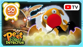 Ant Hunter On The Prowl! 🐜🔍  | Animal Stories For Kids | Peet The Forest Detective