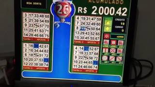 Bingo 3 Linux na Flash screenshot 5