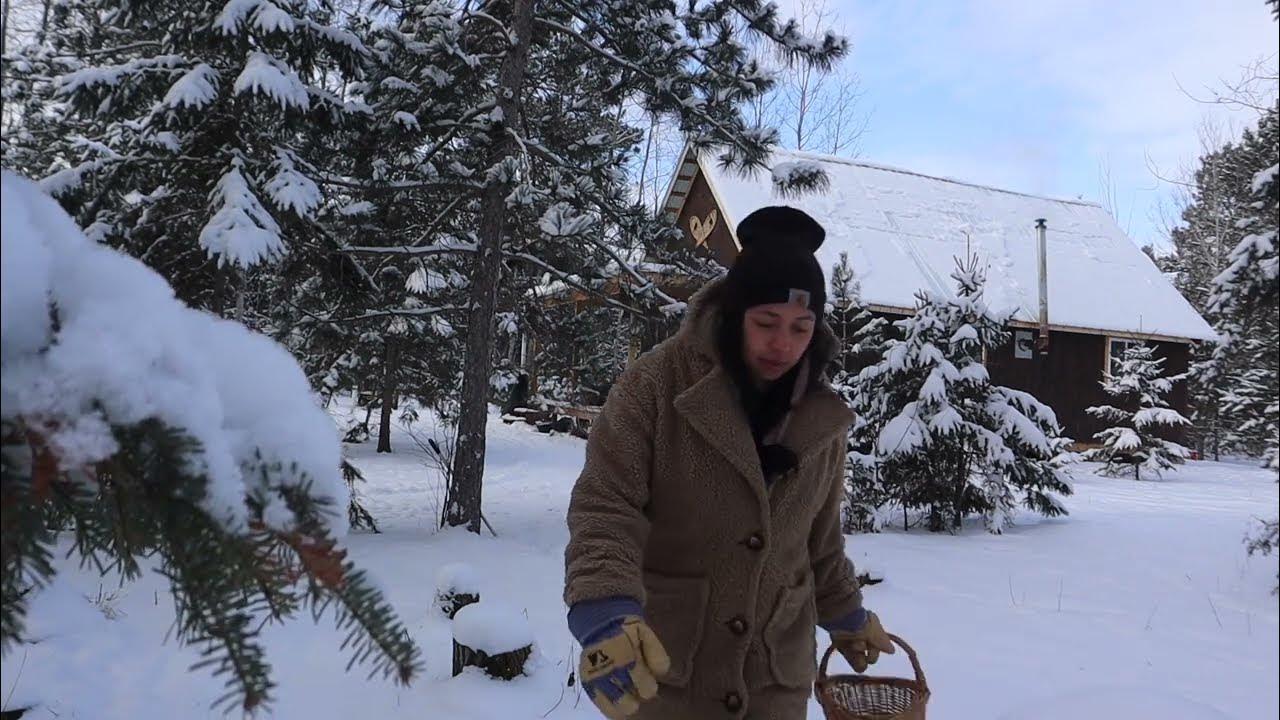 Daily homestead chores in zero degree weather Northern Minnesota