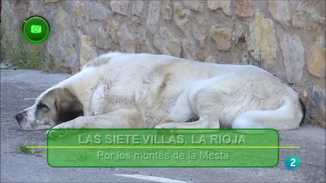 Las Siete Villas  Agrosfera 01-07-2017 RTVE