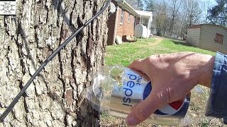 Three Design Variations: Anti-Squirrel Feeders These are simple 2-liter soda bottle feeders which are varied in a systematic way in 