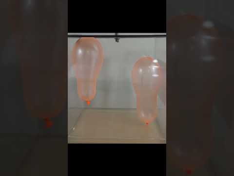 वीडियो: क्या हीलियम का गुब्बारा अंतरिक्ष में तैरेगा?