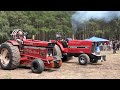 Alfstedt Trecker Sportklasse 2020 Tractor Pulling