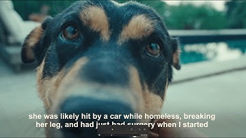 Aden Foyer - In Every Photograph (Official Video)