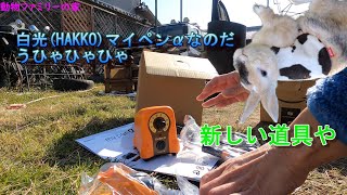 白光マイペンα使ってみた【動物ファミリーの家】