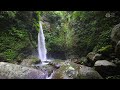 Beautiful Rainforest Waterfall in Gorge. Calming Nature Sound. Water White Noise for Sleeping.10 hrs