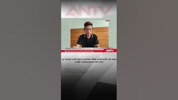 Vụ tranh chấp ngư trường trên vùng biển Tây Nam: 3 đối tượng đã ra đầu thú #antv #shorts