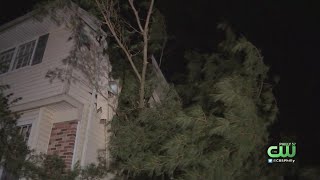Delaware Weather: Man Inside As Large Tree Crashes Into Home During Harsh Storms