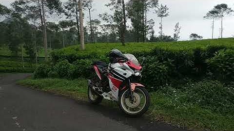 Wisata Kebun Teh Tambi Wonosobo