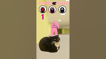 OIIAOIIA Cat in Squid Game Season 2  All Characters🐈🔥 #squidgame2 #cat #oiiaoiia #squidgame