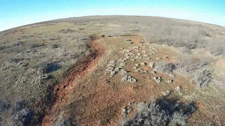 Helicopter Hog Hunt - West Texas
